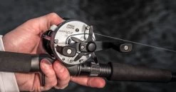 Fishing World Verkoop -Fishing World Verkoop abu garcia abu garcia ambassadeur classic c3 reel 1