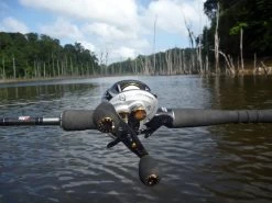 Fishing World Verkoop -Fishing World Verkoop abu garcia abu garcia ambassadeur revo premier ree 1