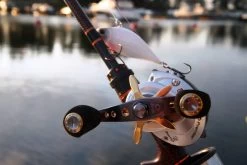 Abu Garcia Ambassadeur Revo Premier Reel 11 Abu Garcia Ambassadeur Revo Premier Reel -Fishing World Verkoop abu garcia abu garcia ambassadeur revo premier ree 3