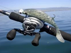 Abu Garcia Ambassadeur Revo STX Reel -Fishing World Verkoop abu garcia abu garcia ambassadeur revo stx reel 1