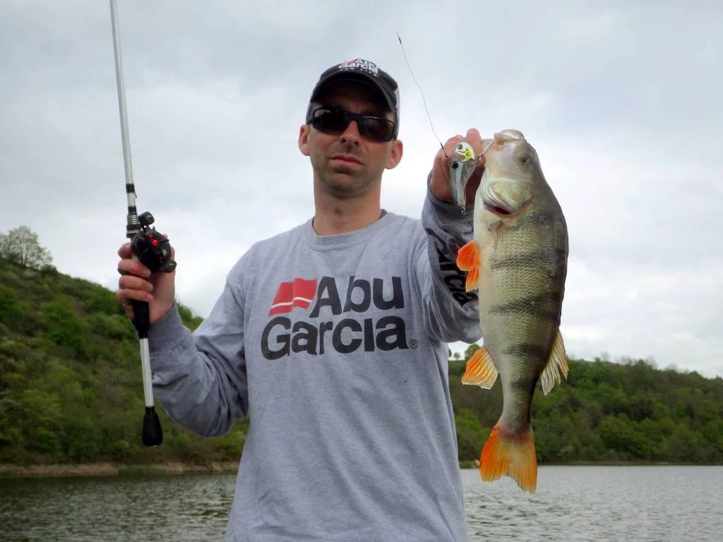 Abu Garcia Ambassadeur Revo SX Reel 4 Abu Garcia Ambassadeur Revo SX Reel - Image 2