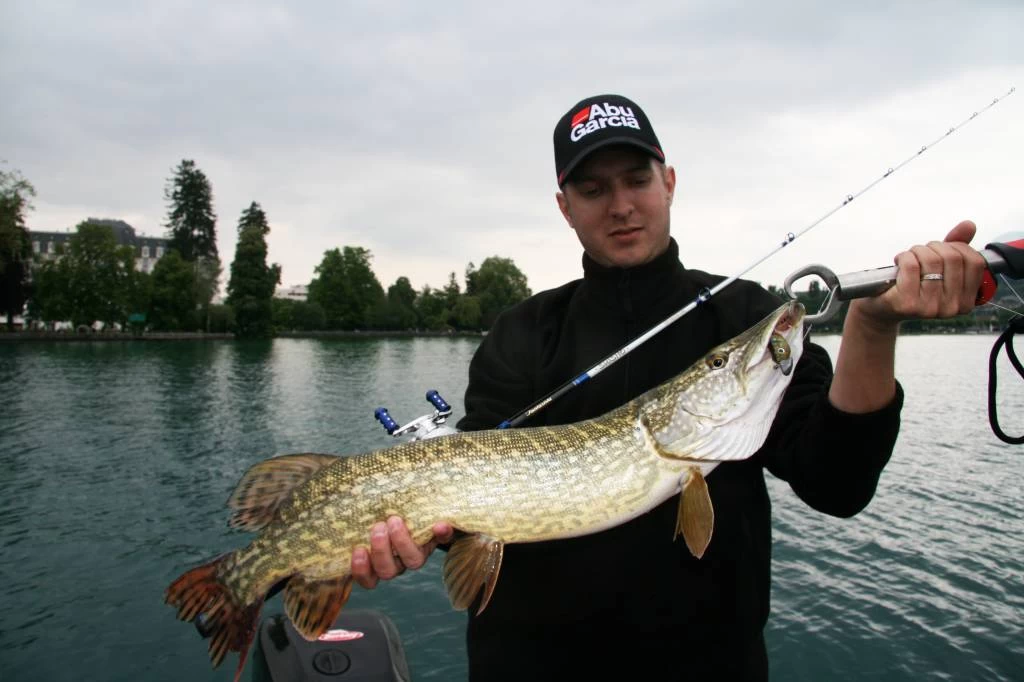 Abu Garcia Fantasista Suisho Pro Spinhengel 4 Abu Garcia Fantasista Suisho Pro Spinhengel - Image 2