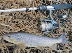 Abu Garcia Orra SX Werpmolen -Fishing World Verkoop abu garcia abu garcia orra sx werpmolen 2