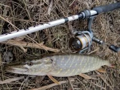 Abu Garcia Orra SX Werpmolen -Fishing World Verkoop abu garcia abu garcia orra sx werpmolen 3