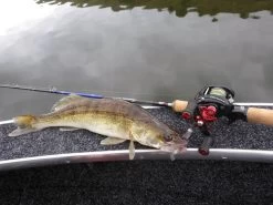 Abu Garcia Revo MGXtreme Reel -Fishing World Verkoop abu garcia abu garcia revo mgxtreme reel 5