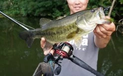 Abu Garcia Revo Rocket Reel -Fishing World Verkoop abu garcia abu garcia revo rocket reel 4