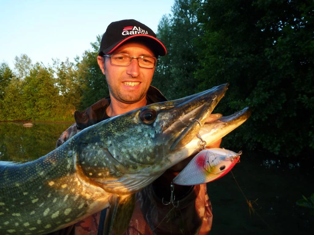 Fishing World Verkoop -Fishing World Verkoop abu garcia abu garcia rocket jerkbait 1