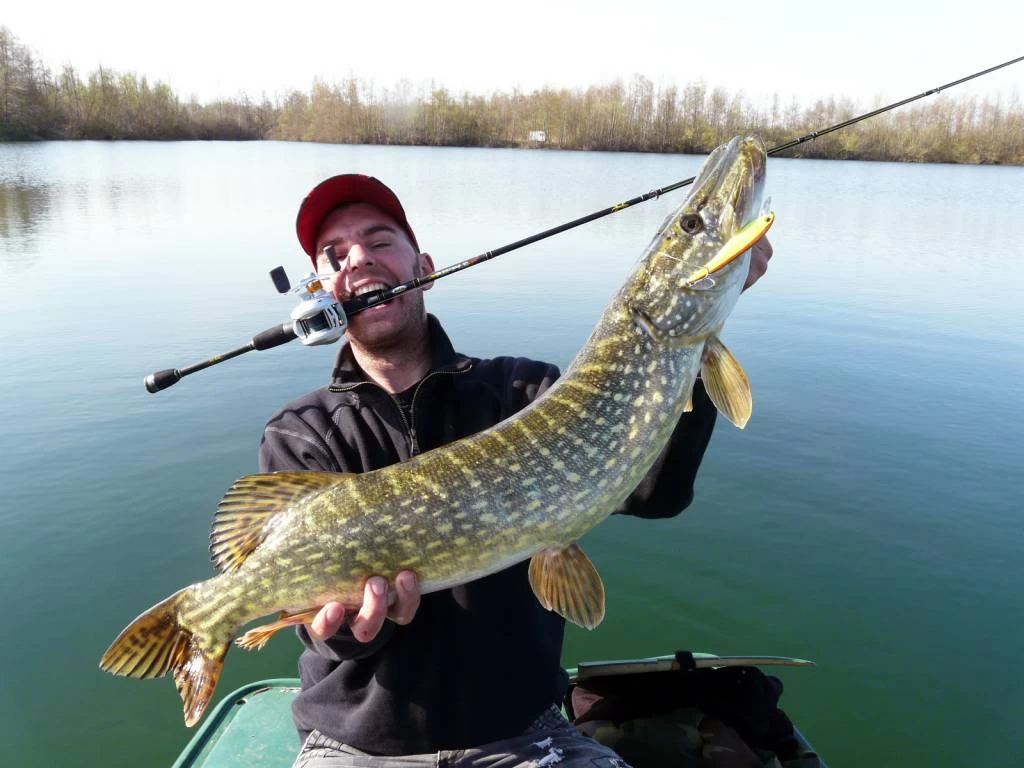 Fishing World Verkoop -Fishing World Verkoop abu garcia abu garcia rocket minnow jerkbait 1