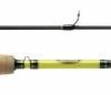 Berkley Phazer Cast Werphengel -Fishing World Verkoop berkley berkley phazer cast werphengel