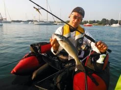 Mitchell 300 Pro Werpmolen -Fishing World Verkoop mitchell mitchell 300 pro werpmolen 3