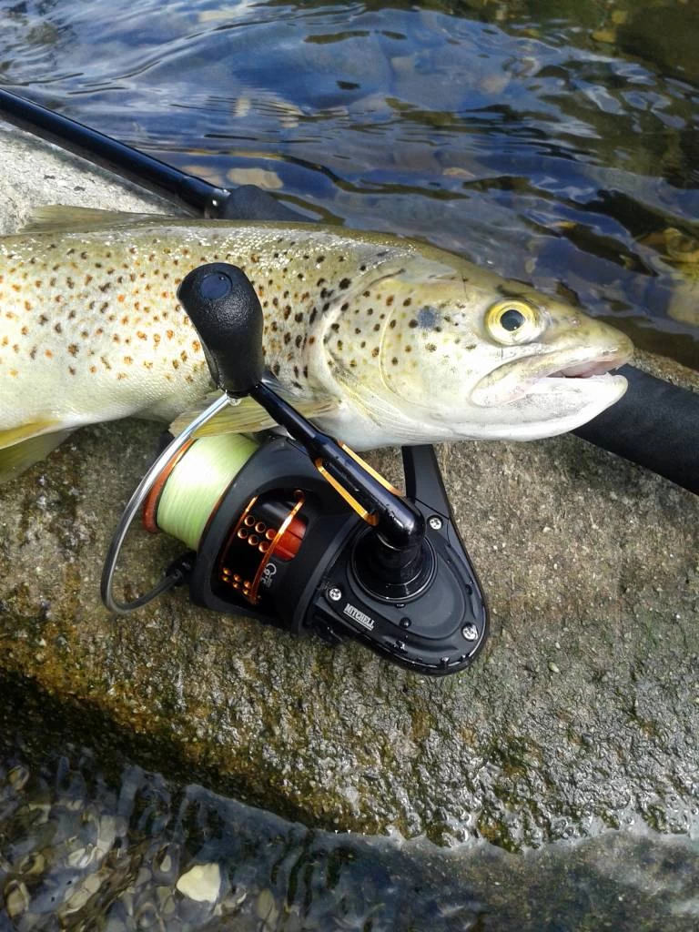 Mitchell 350 Pro Werpmolen 4 Mitchell 350 Pro Werpmolen - Image 2