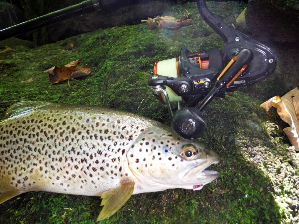 Mitchell 350 Pro Werpmolen 8 Mitchell 350 Pro Werpmolen - Image 6