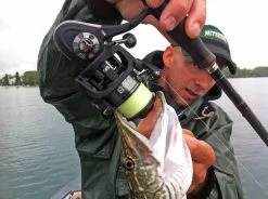 Mitchell 498 Zeemolen -Fishing World Verkoop mitchell mitchell 498 zeemolen 3