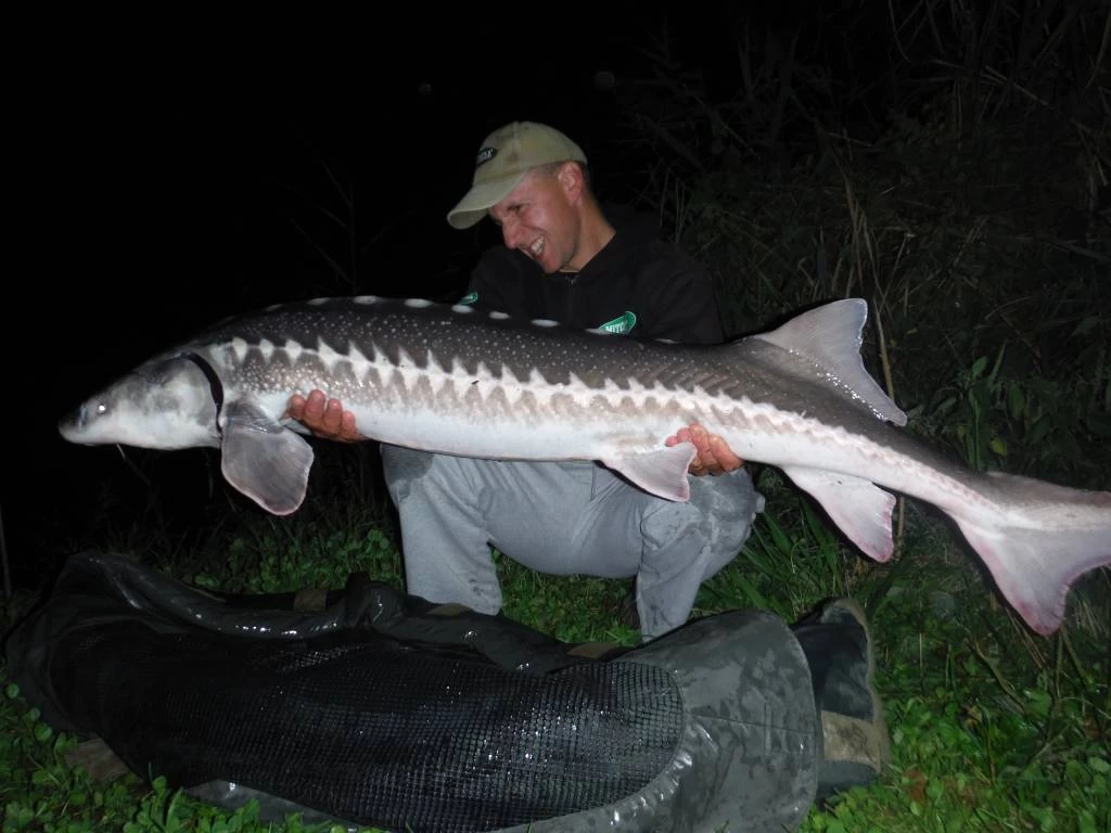 Mitchell Avocast Free Spool Baitrunner 6 Mitchell Avocast Free Spool Baitrunner - Image 4