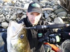 Mitchell Avocast Free Spool Baitrunner 13 Mitchell Avocast Free Spool Baitrunner -Fishing World Verkoop mitchell mitchell avocast free spool baitrunner 5