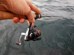 Mitchell Mag Premier Zeemolen -Fishing World Verkoop mitchell mitchell mag premier zeemolen 5