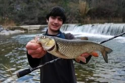 Mitchell Mag Pro Extreme Spinhengel -Fishing World Verkoop mitchell mitchell mag pro extreme spinhengel 4