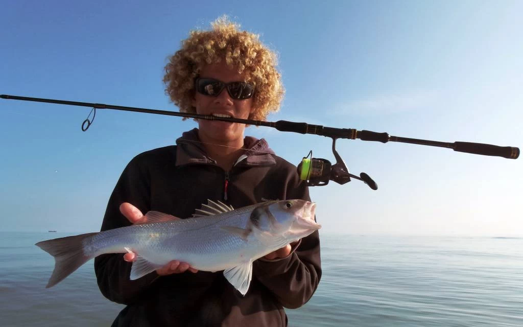 Penn Battle II Zeemolen 4 Penn Battle II Zeemolen - Image 2