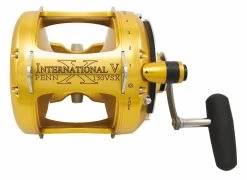 Fishing World Verkoop -Fishing World Verkoop penn hengelsport penn international vsx reel 1