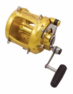 Penn International VSX Reel -Fishing World Verkoop penn hengelsport penn international vsx reel 2