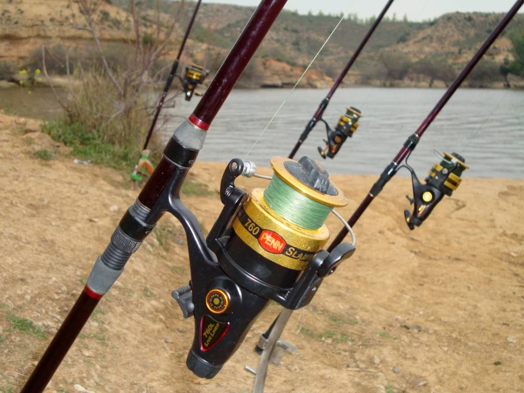 Penn Slammer LiveLiner Baitrunner 4 Penn Slammer LiveLiner Baitrunner - Image 2