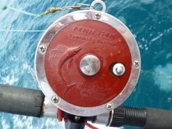 Penn Special Senator Reel -Fishing World Verkoop penn hengelsport penn special senator reel 2