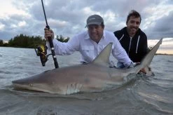 Penn Spinfisher V Zeemolen -Fishing World Verkoop penn hengelsport penn spinfisher v zeemolen 2