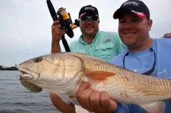 Penn Spinfisher V Zeemolen -Fishing World Verkoop penn hengelsport penn spinfisher v zeemolen 3