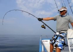 Penn Spinfisher V Zeemolen -Fishing World Verkoop penn hengelsport penn spinfisher v zeemolen 5