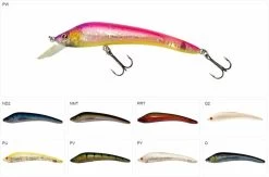Sebile Acast Minnow Medium Lip Jerkbait Kunstaas -Fishing World Verkoop sebile sebile acast minnow medium lip jerkbait kun 2