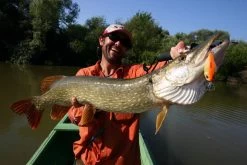 Sebile Crankster Jerkbait Kunstaas -Fishing World Verkoop sebile sebile crankster jerkbait kunstaas 3