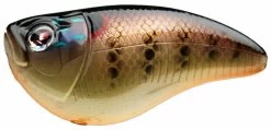 Sebile Crankster Jerkbait Kunstaas -Fishing World Verkoop sebile sebile crankster jerkbait kunstaas 4