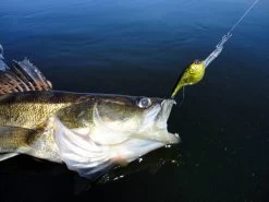 Sebile D&S Crank Jerkbait Kunstaas -Fishing World Verkoop sebile sebile d s crank jerkbait kunstaas 4