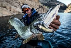 Sebile Flatt Shad Sinking Jerkbait Kunstaas -Fishing World Verkoop sebile sebile flatt shad sinking jerkbait kunstaas 3