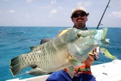 Sebile Flatt Shad XH Jerkbait Kunstaas -Fishing World Verkoop sebile sebile flatt shad xh jerkbait kunstaas 3