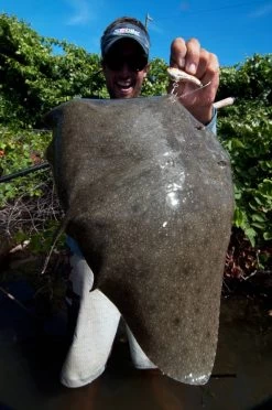 Sebile Flatt Shad XH Jerkbait Kunstaas -Fishing World Verkoop sebile sebile flatt shad xh jerkbait kunstaas 5