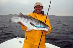 Sebile Magic Swimmer Sinking Jerkbait Kunstaas -Fishing World Verkoop sebile sebile magic swimmer sinking jerkbait kunst 3