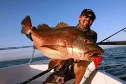 Sebile Magic Swimmer Slow Sinking Jerkbait Kunstaas 13 Sebile Magic Swimmer Slow Sinking Jerkbait Kunstaas -Fishing World Verkoop sebile sebile magic swimmer slow sinking jerkbait 5