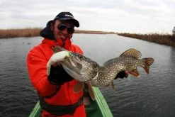 Sebile Magic Swimmer Soft Shad Kunstaas -Fishing World Verkoop sebile sebile magic swimmer soft shad kunstaas 2