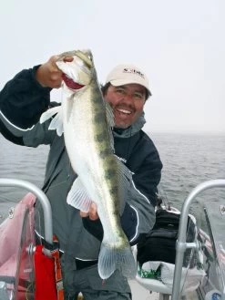 Sebile Magic Swimmer Soft Shad Kunstaas -Fishing World Verkoop sebile sebile magic swimmer soft shad kunstaas 4