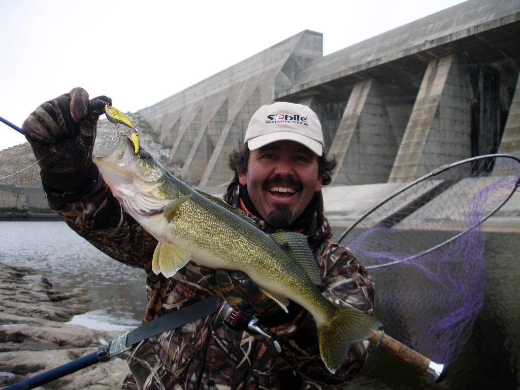 Sebile Spin Shad Jerkbait Kunstaas 4 Sebile Spin Shad Jerkbait Kunstaas - Image 2