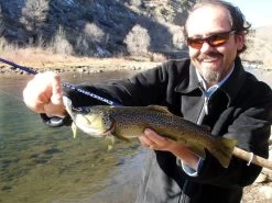 Sebile Spin Shad Jerkbait Kunstaas 11 Sebile Spin Shad Jerkbait Kunstaas -Fishing World Verkoop sebile sebile spin shad jerkbait kunstaas 3