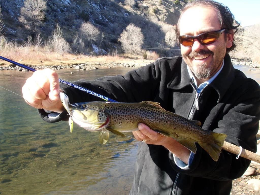 Sebile Spin Shad Jerkbait Kunstaas 6 Sebile Spin Shad Jerkbait Kunstaas - Image 4