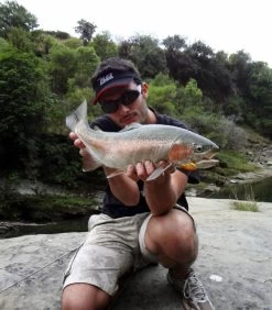 Sebile Spin Shad Jerkbait Kunstaas 12 Sebile Spin Shad Jerkbait Kunstaas -Fishing World Verkoop sebile sebile spin shad jerkbait kunstaas 4