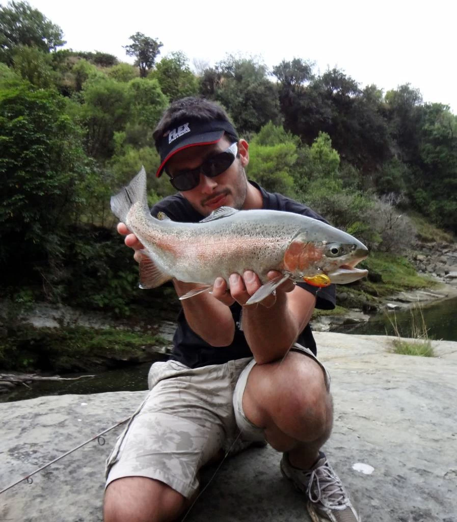 Sebile Spin Shad Jerkbait Kunstaas 7 Sebile Spin Shad Jerkbait Kunstaas - Image 5