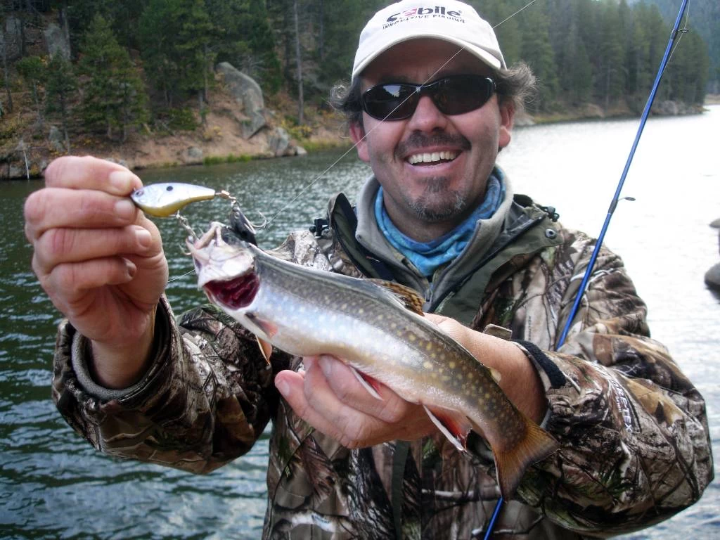 Sebile Spin Shad Jerkbait Kunstaas 8 Sebile Spin Shad Jerkbait Kunstaas - Image 6