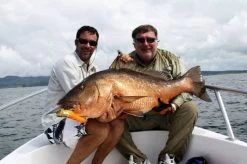 Sebile Splasher Salt & Sun Jerkbait Kunstaas -Fishing World Verkoop sebile sebile splasher salt sun jerkbait kunstaas 3