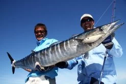 Sebile Stick Shadd Salt & Sun Jerkbait Kunstaas -Fishing World Verkoop sebile sebile stick shadd salt sun jerkbait kunsta 3