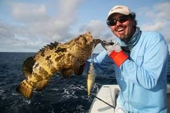 Sebile Stick Shadd Salt & Sun Jerkbait Kunstaas -Fishing World Verkoop sebile sebile stick shadd salt sun jerkbait kunsta 4