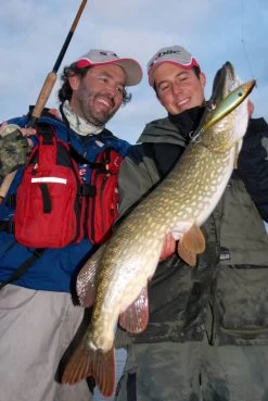 Sebile Stick Shadd Salt & Sun Jerkbait Kunstaas -Fishing World Verkoop sebile sebile stick shadd salt sun jerkbait kunsta 5